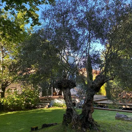 L'esprit D'o Villa *